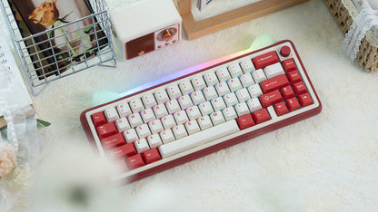 폭시 65 조립판