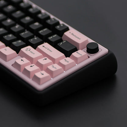 Foxy 65 Assembled Edition