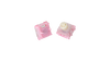 WS Flux Switch