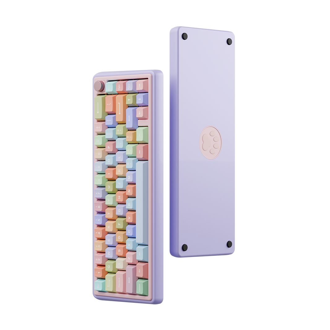 🎁 Paw 65 조립 완료 에디션 (100% 할인)