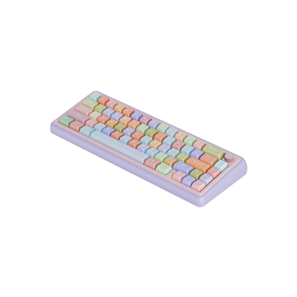 🎁 Paw 65 Assembled Edition (100% off)