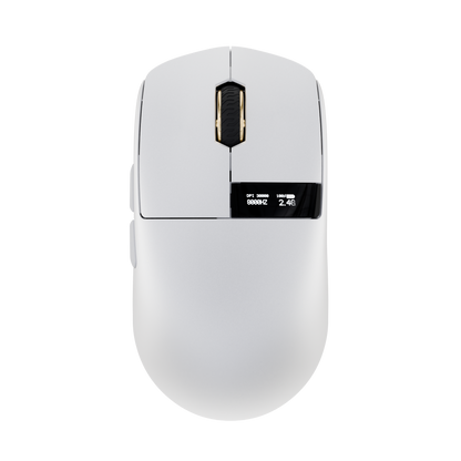 [재고 있음]Glacier LW 8K L 마우스