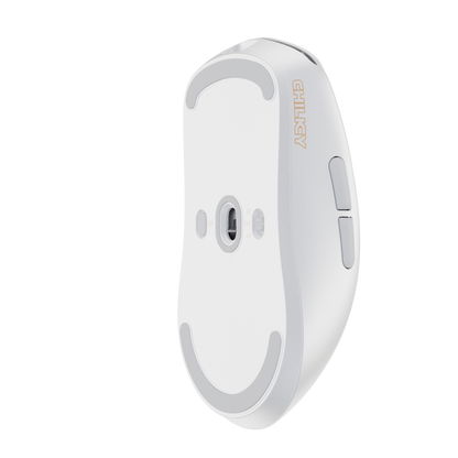 [재고 있음]Glacier LW 8K L 마우스